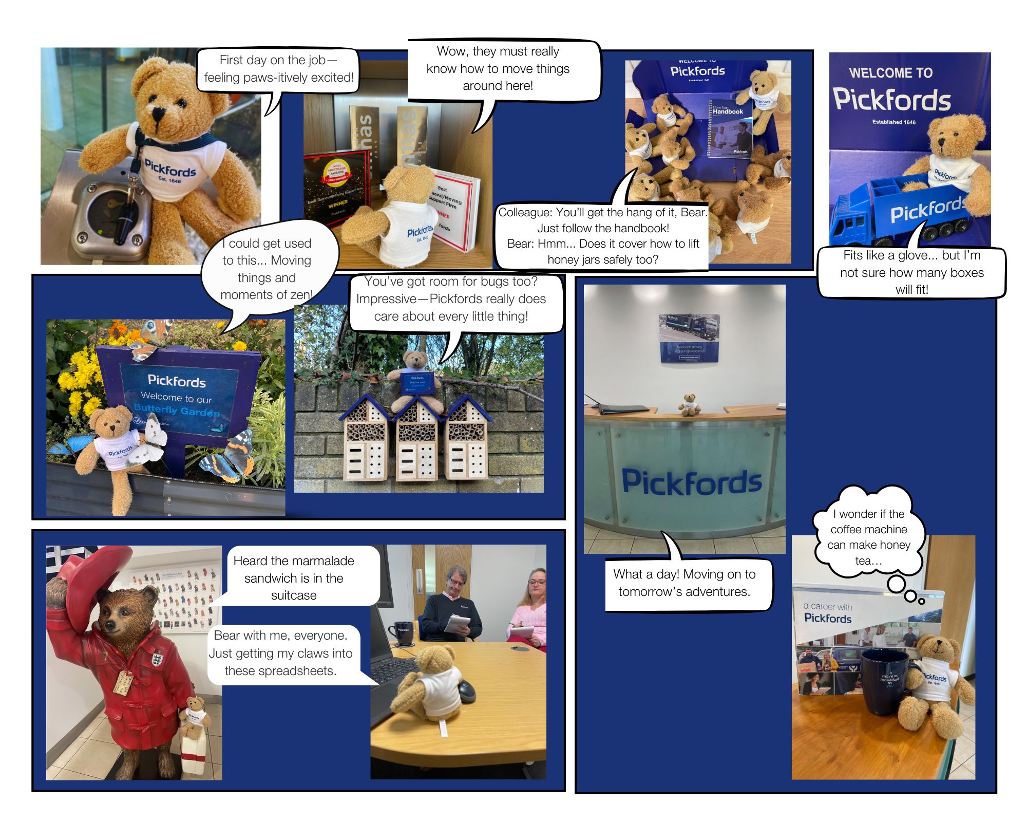 Join the Pickfords Bear on His Festive Adventure at Craiova Christmas Market