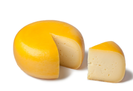 Dutch gouda cheese