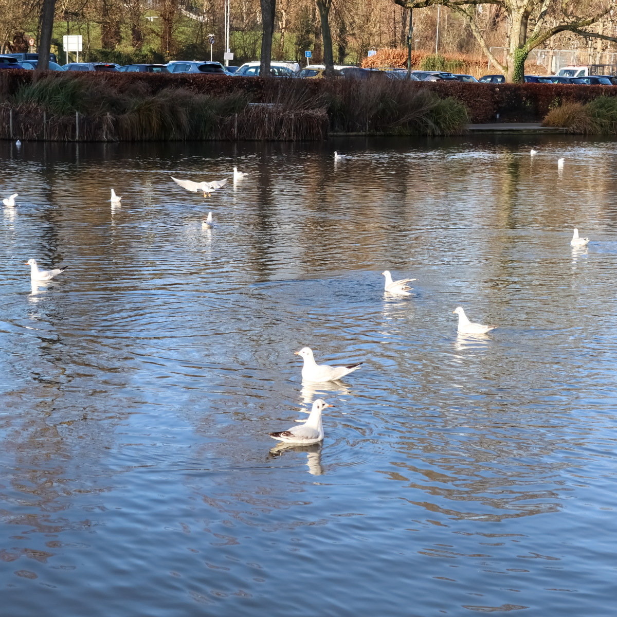  Moving home in Hempstead, heartfordshire? Consider things to do in Hempstead, heartfordshire.