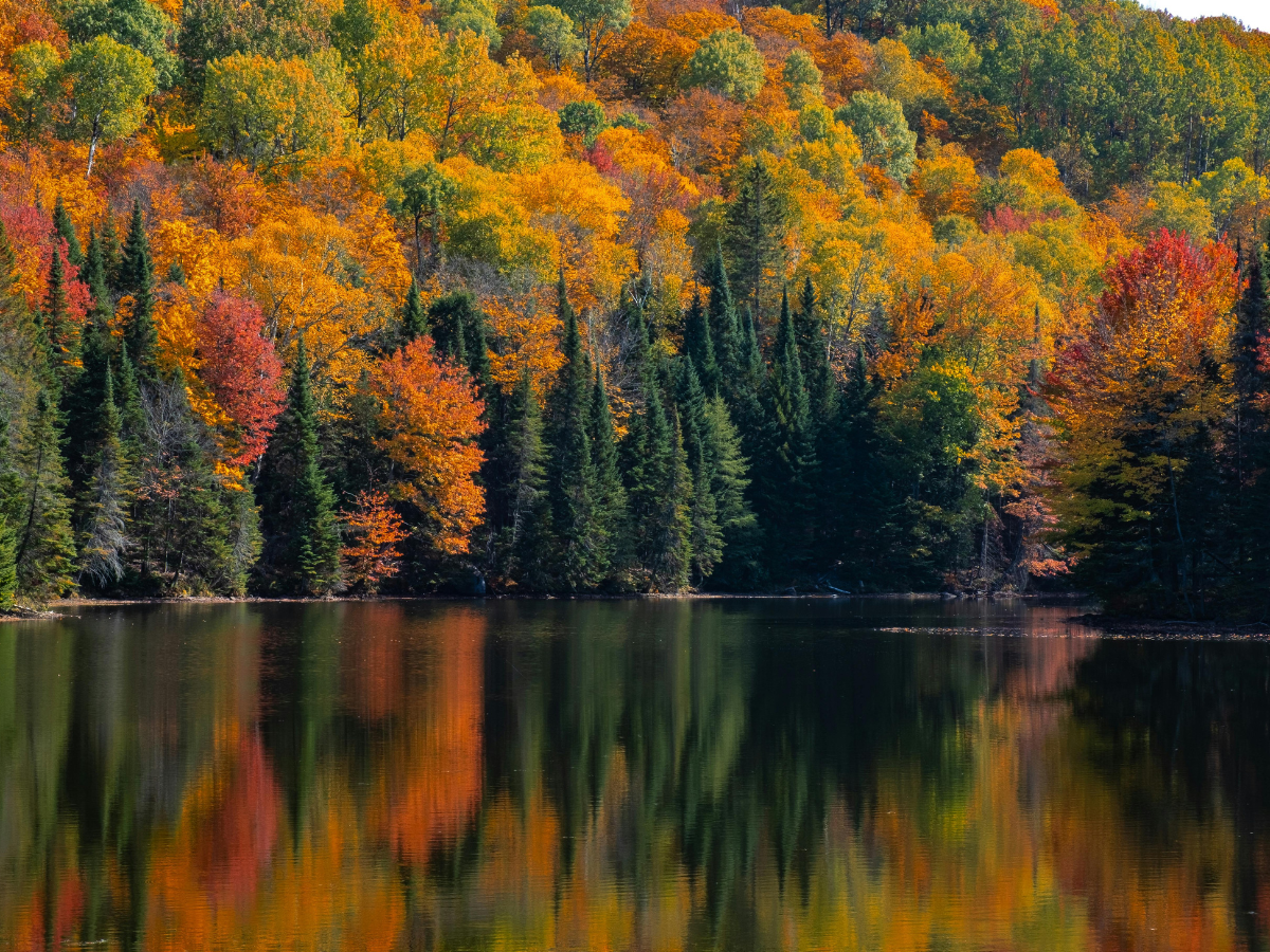 items that can be shipped and restricted in canada