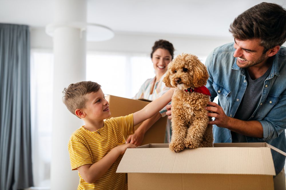 Pet shipping cost