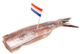 Soused herring dutch