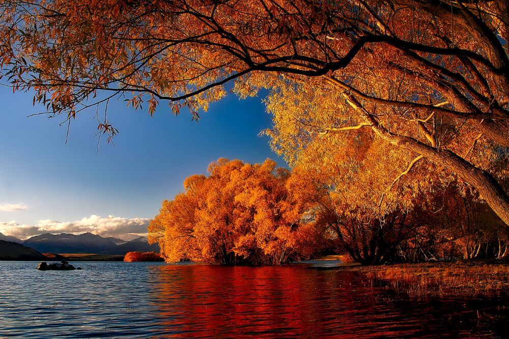 Image showing Autumn in New Zealand, one of the best times to visit New Zealand