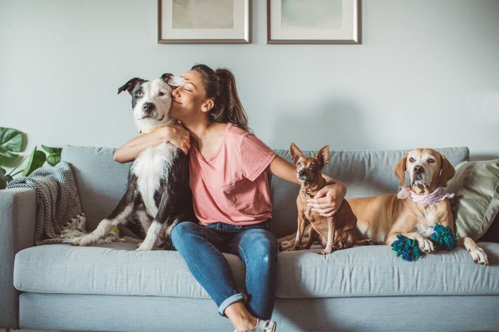 An image of a lady with her three dogs preparing to move to Spain