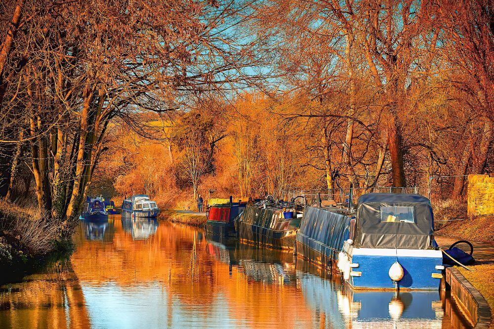 An image of an autumnal walking route in the UK. 